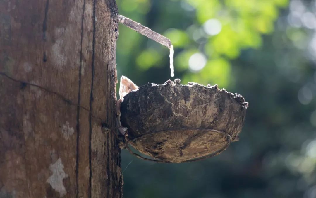 卡路福奥黛丽床垫,以梦为马北辰