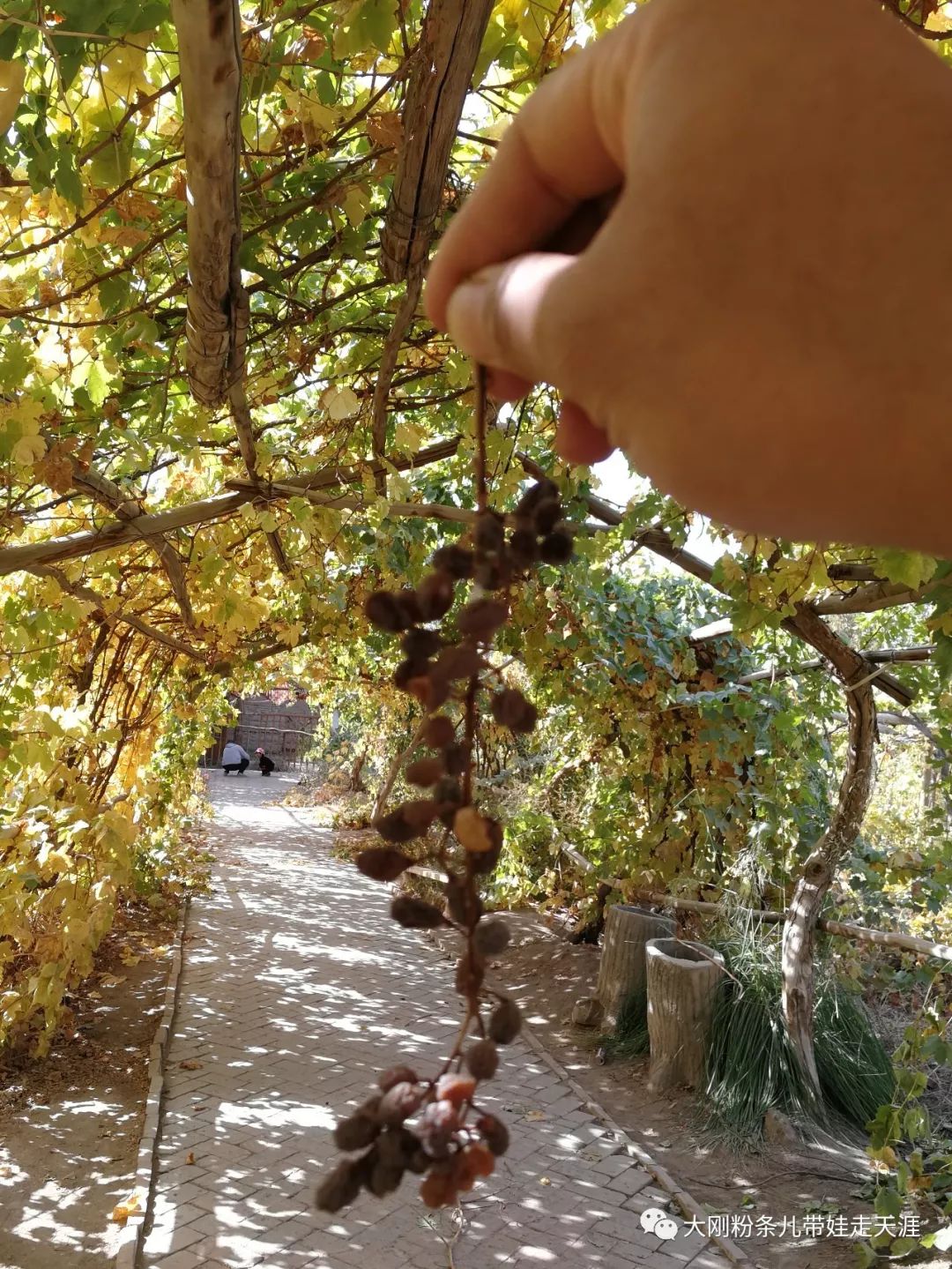 舌尖上的旅行带你领略旅行的美好,环游中国边界