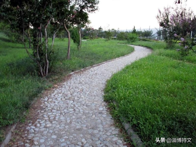 热爱生活从每日跑步开始,跑步让我感受健康和快乐