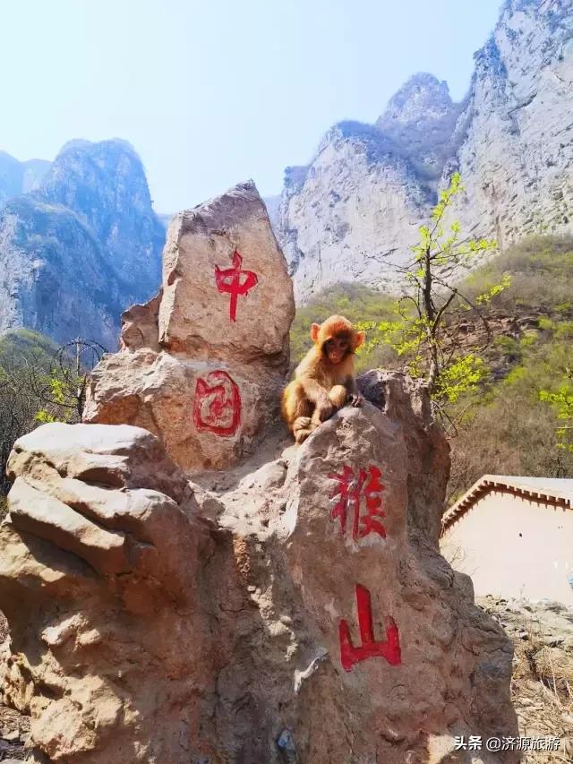 春暖花开踏青热，五龙口景区迎来春游小高峰！