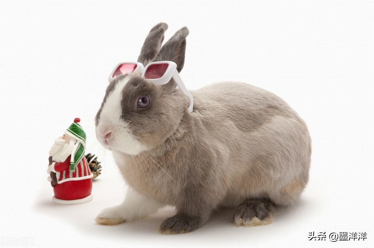 用心整理的63个免费自学网站，假期悄悄变强大！（赶紧收藏学习）