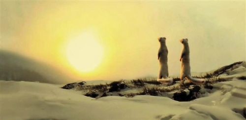 民间不祥生物黄鼠狼,在农村遇到黄鼠狼该怎么办