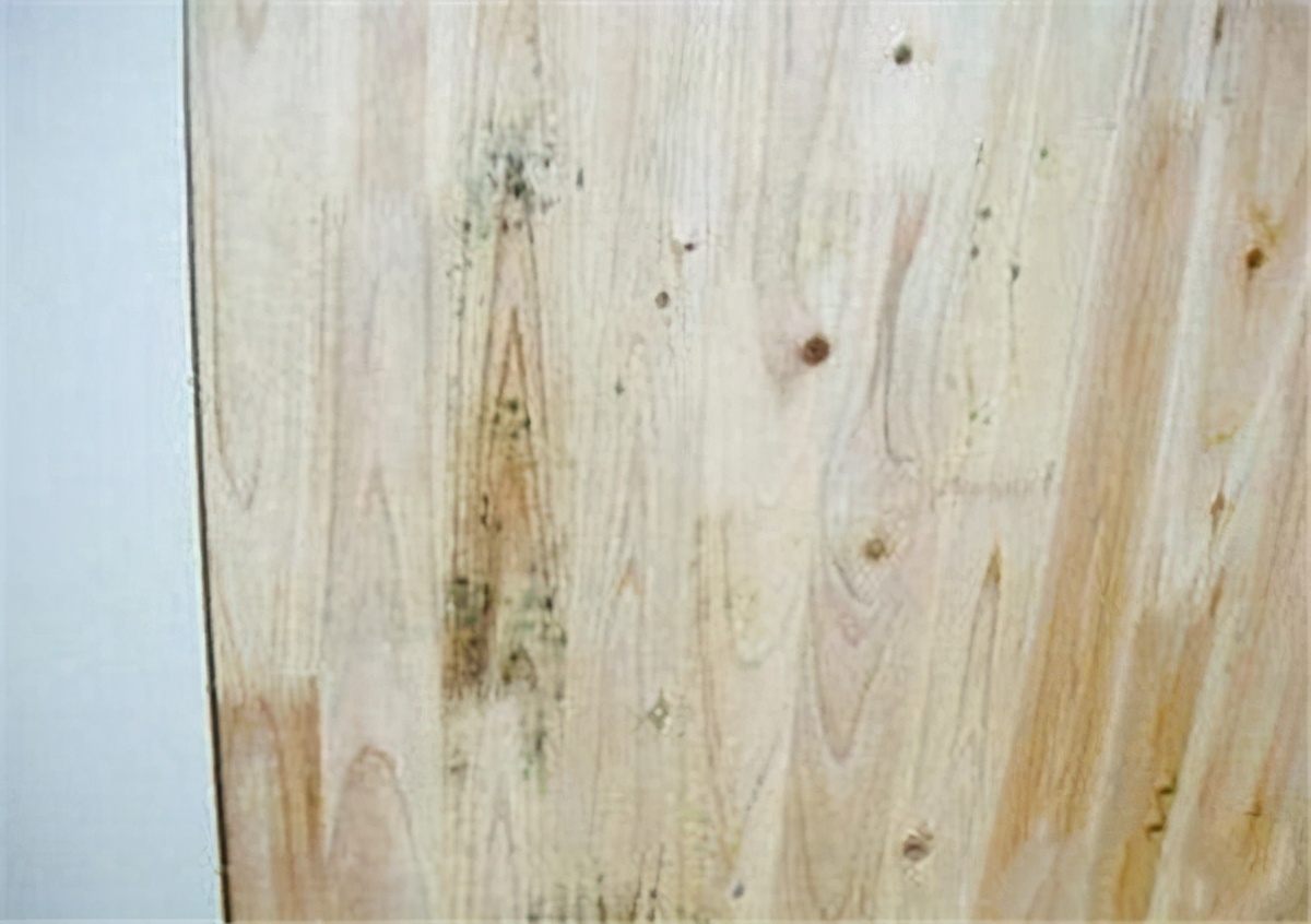 买儿童床注意哪些问题,买床垫有甲醛把小孩身体睡坏了