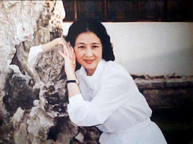 范曾先生水平超越古人了吗,范曾人品有多厉害