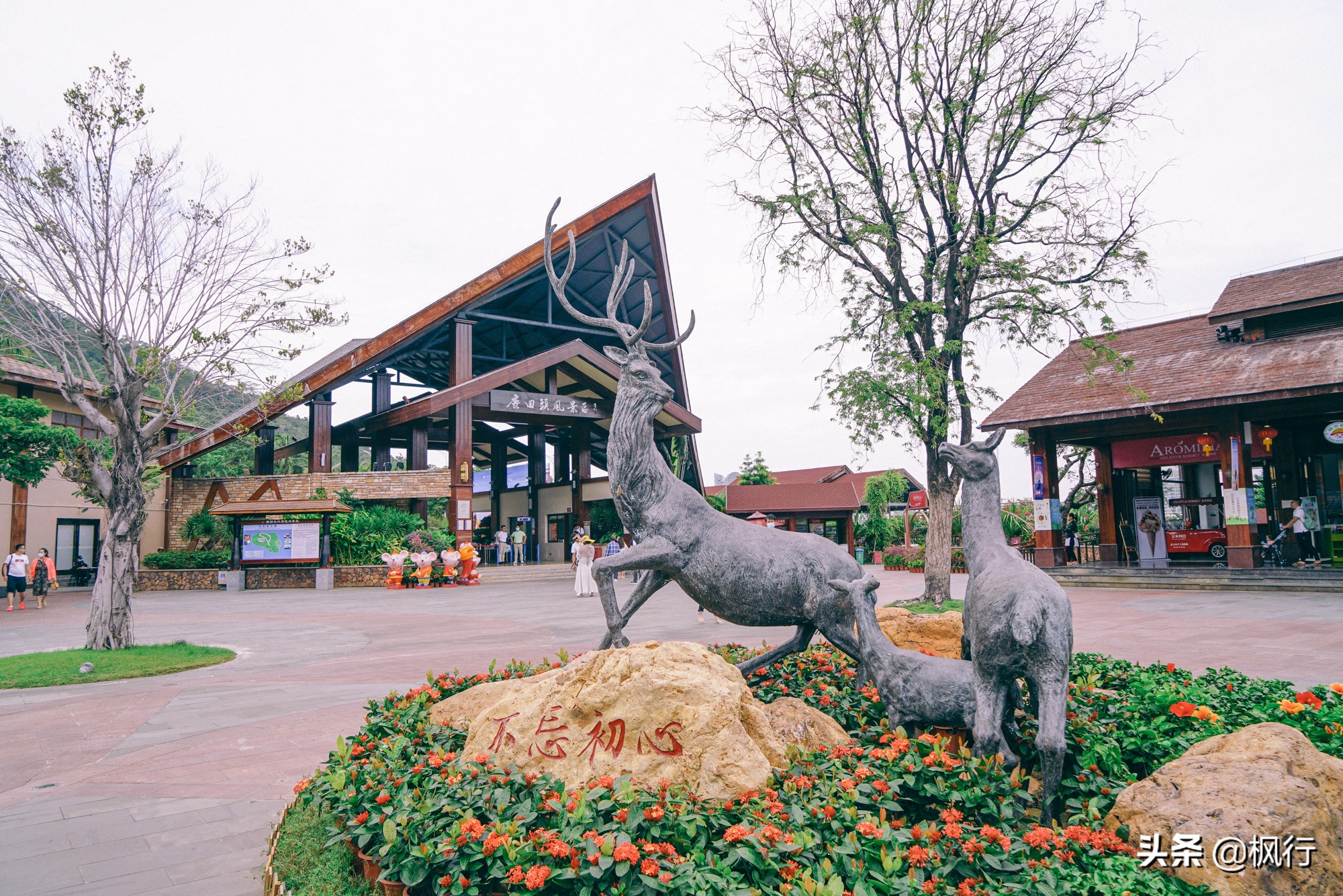 被猴子袭击，门票昂贵，拍照被轰，被我全程吐槽的三亚到底值不值