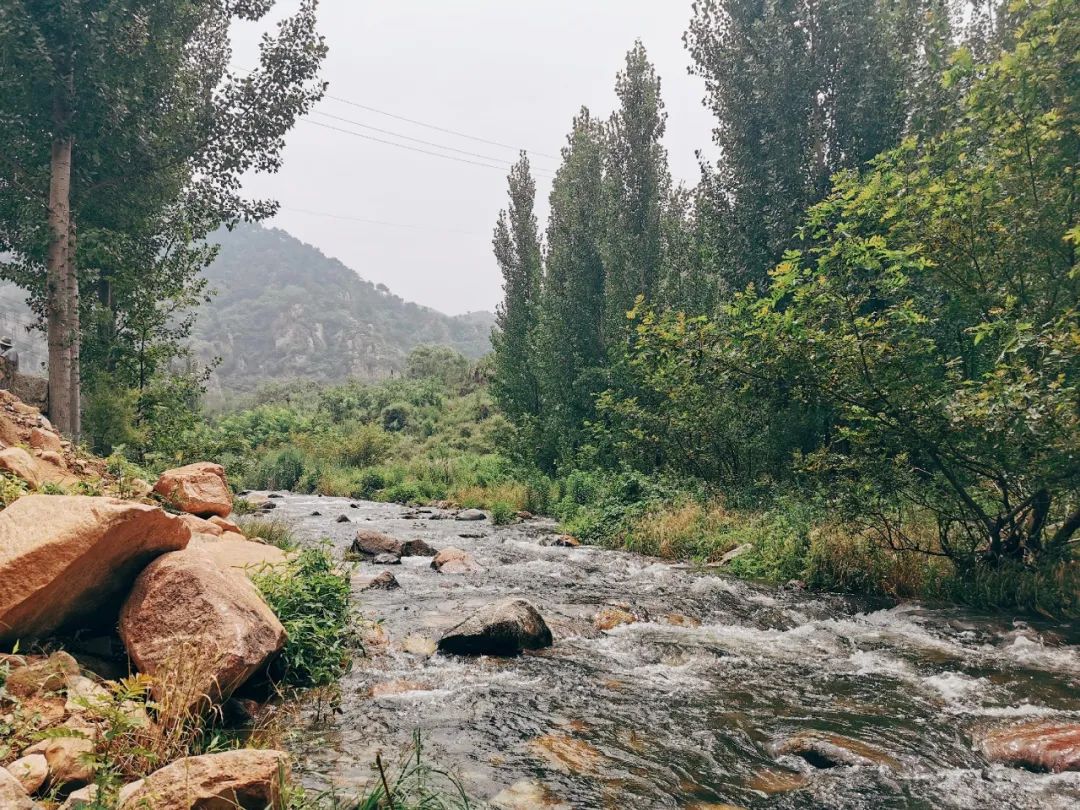 济南适合带孩子去的地方春天,周末遛娃的好去处好玩又免费济南