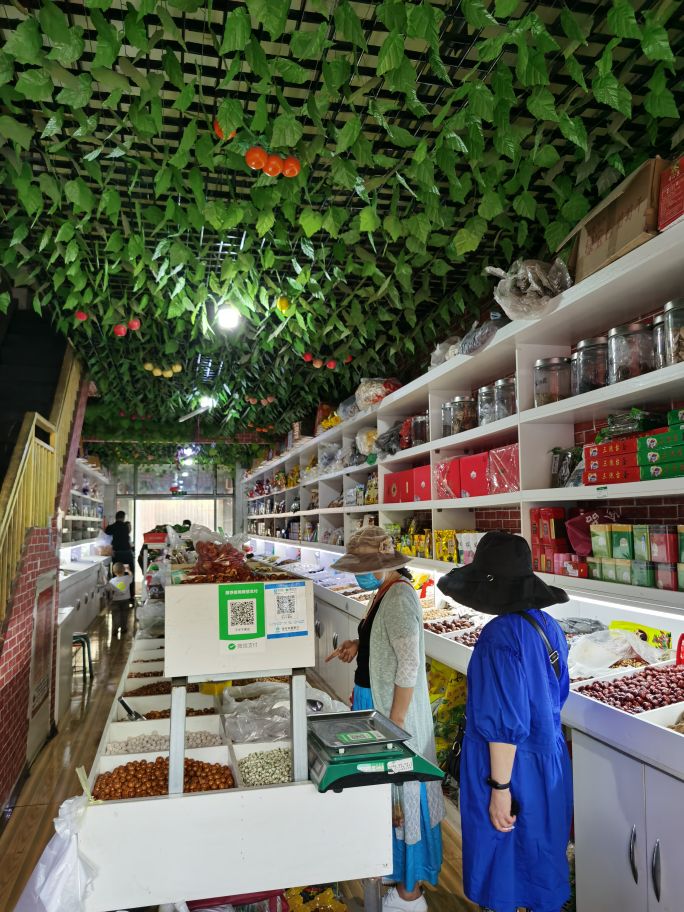 坐公共交通工具游新疆北疆攻略,从新疆坐大巴去俄罗斯