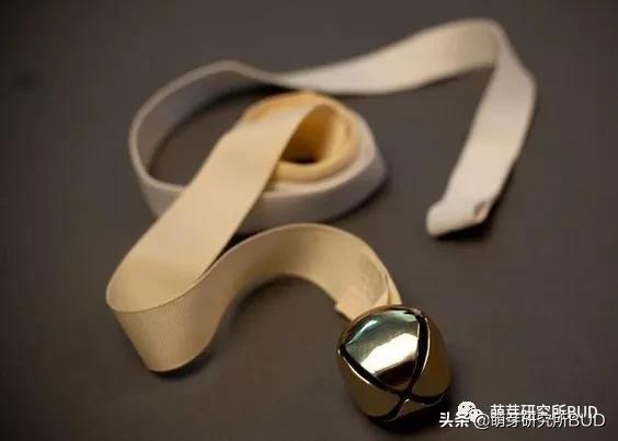 启蒙时光蒙特梭利亲子活动,蒙特梭利户外亲子游