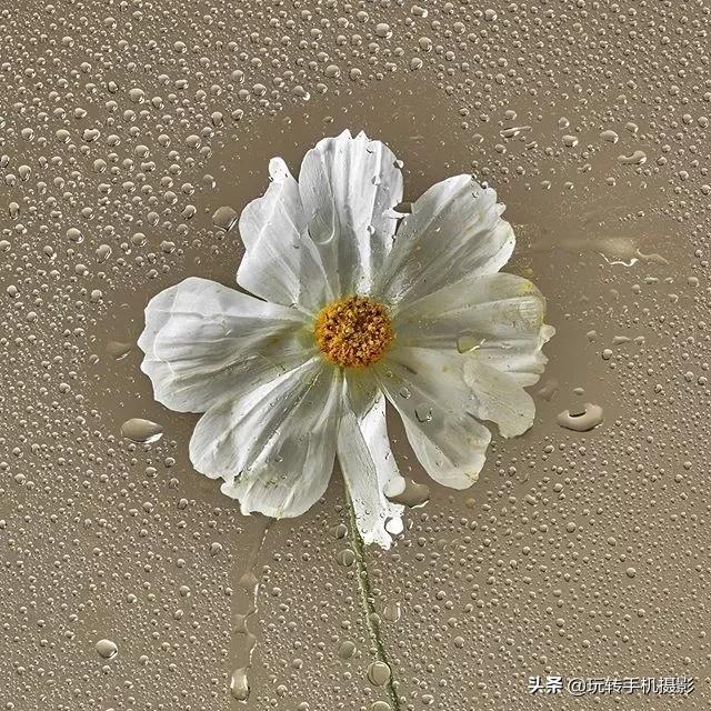 在家拍摄100个创意技巧,在家拍摄100个创意摄影方案