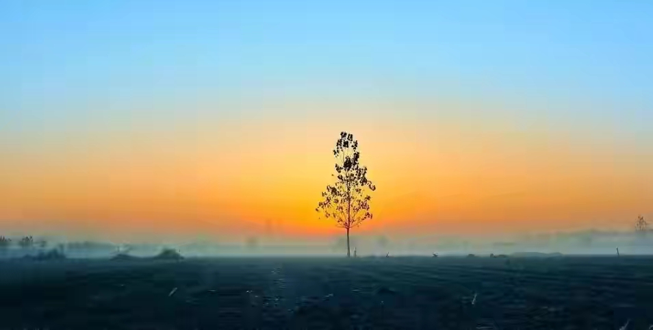 怎么劝爸爸不要和弟弟吵架,爸爸脾气暴躁自己应该怎么调节