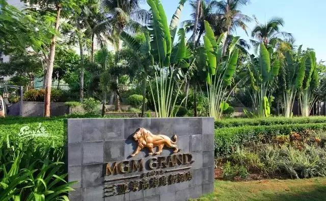 美高梅酒店热气球,美高梅热气球