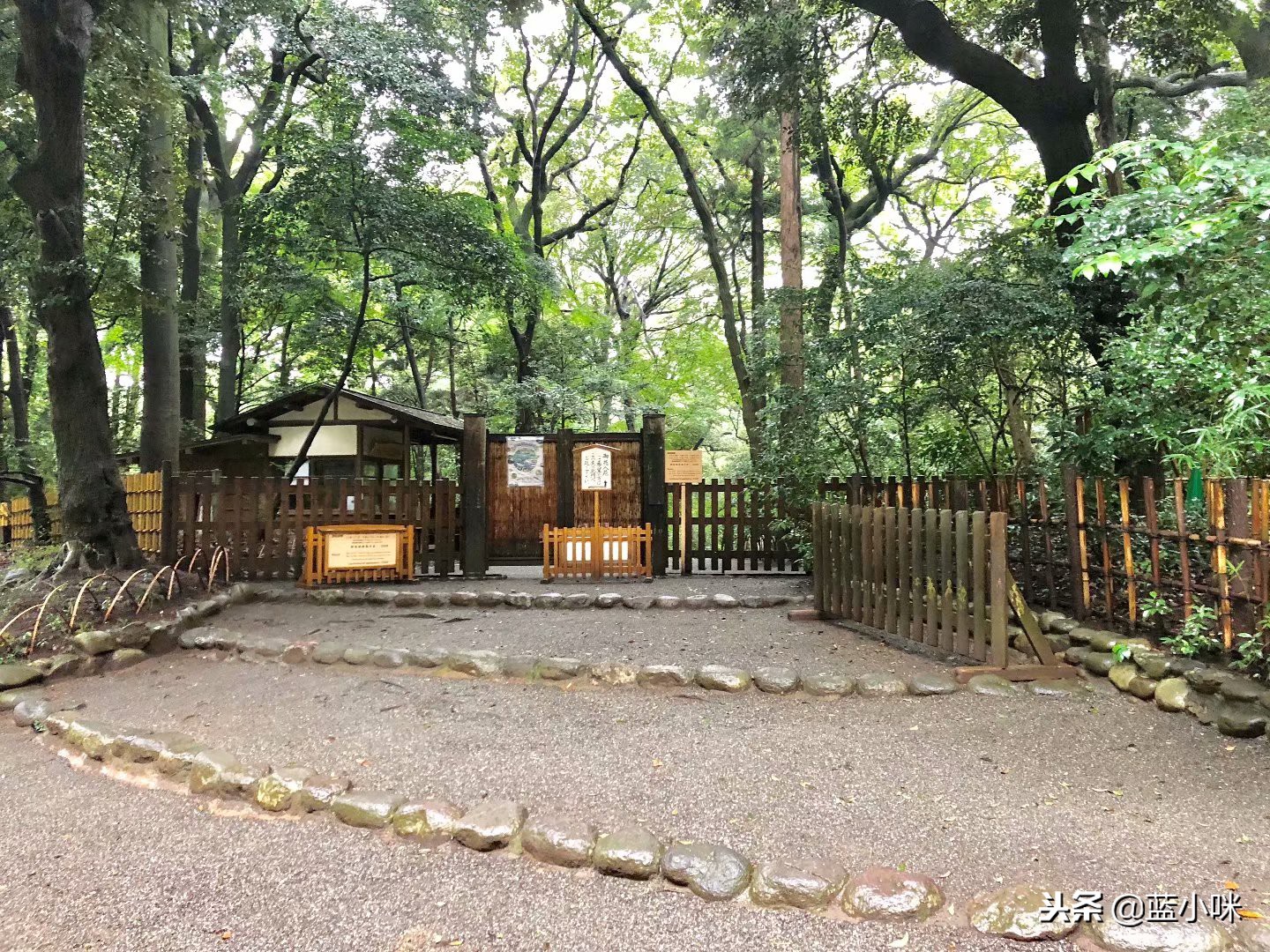 东京富士山镰仓一日游,东京旅游攻略镰仓一日游