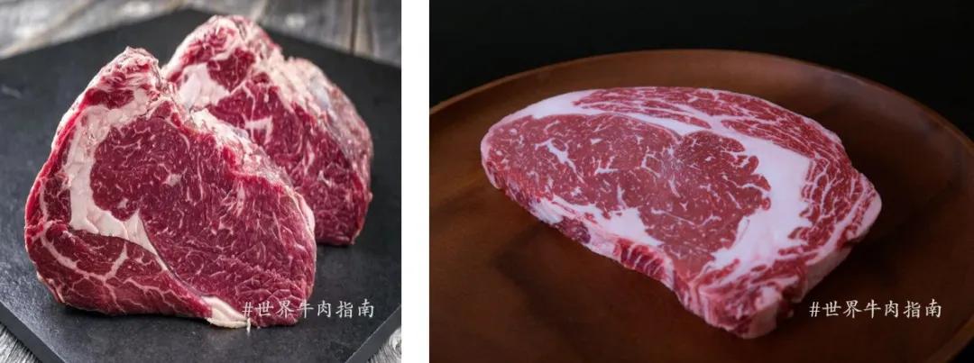 牛排等级及区分方式,常见的4种牛排分类介绍