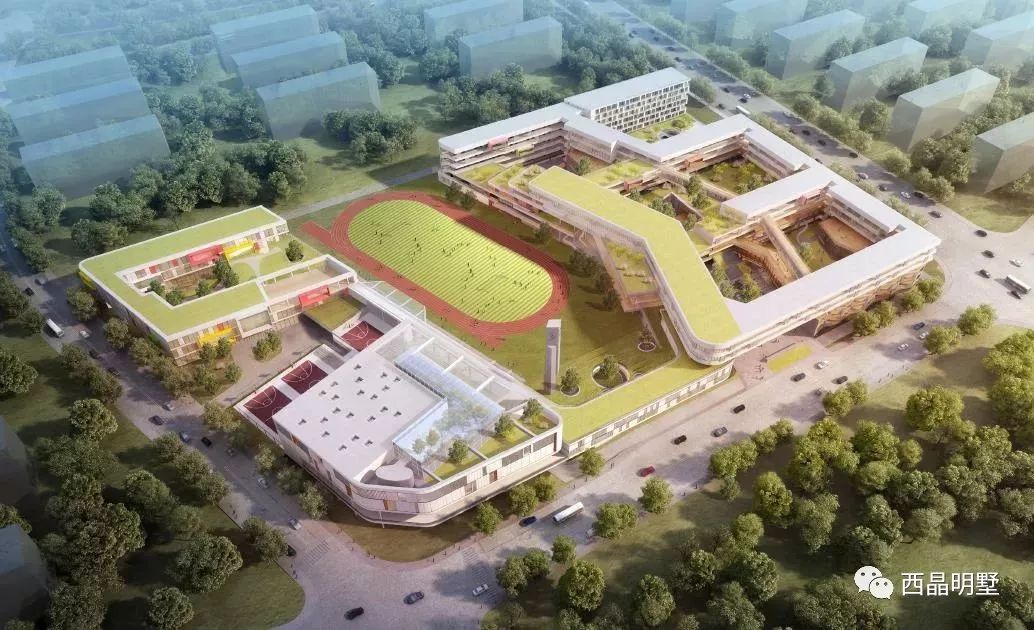 下一个教育强区，就在七大名校汇聚的青浦