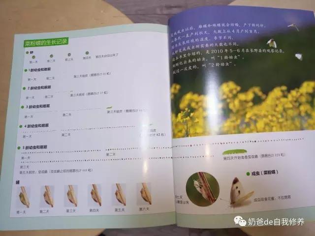 关于动物有趣的书小学生,关于动物好看的书有哪些