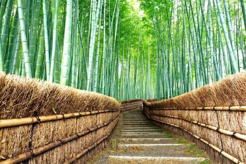 中国醉美云和梯田,中国醉美梯田景观