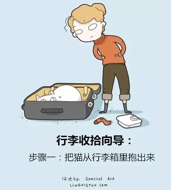 沙雕猫片，笑到床塌！自从做了卑微的铲屎官，比一个人时刺激多了