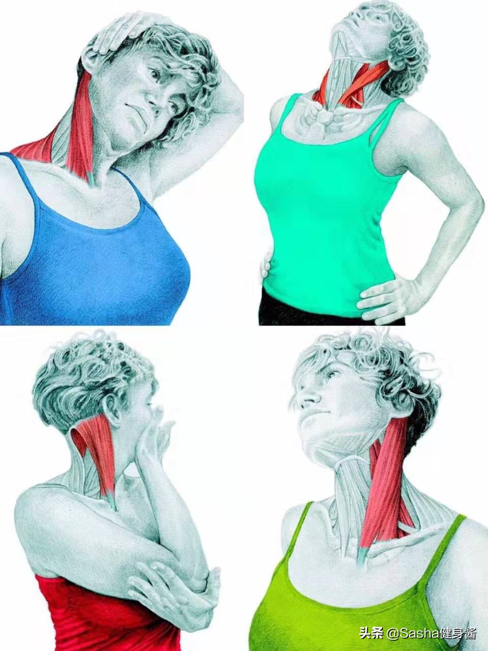 全身肌肉都痛是怎么回事,全身肌肉痛是什么病