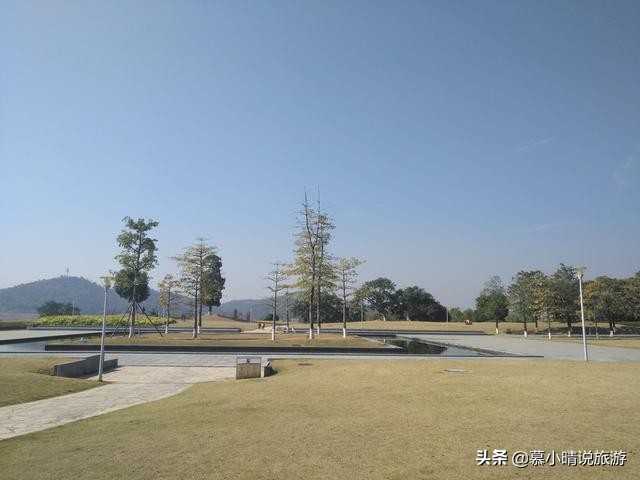 广州这个湖，有片内蒙古“怪树林”，景色如水墨画，让你亲近自然