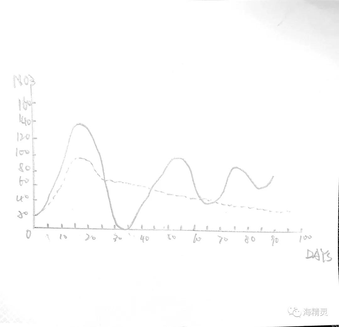 为什么一定要爆藻,为什么国人对鱼情有独钟