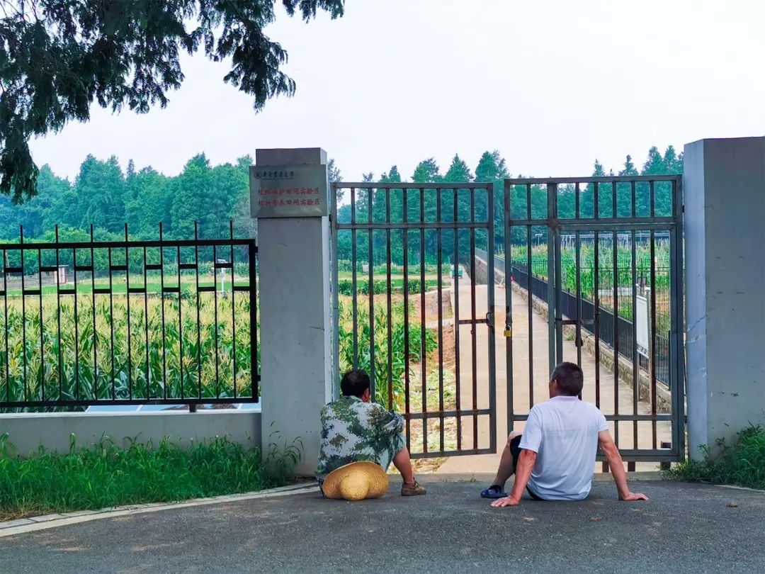 全国第一！华中农业大学真是太太太牛了