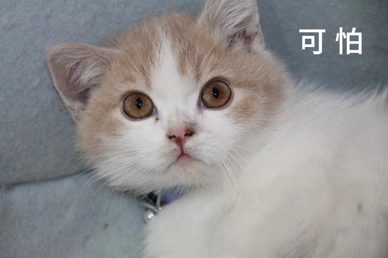 股市的三大博弈关系,股市三大危机