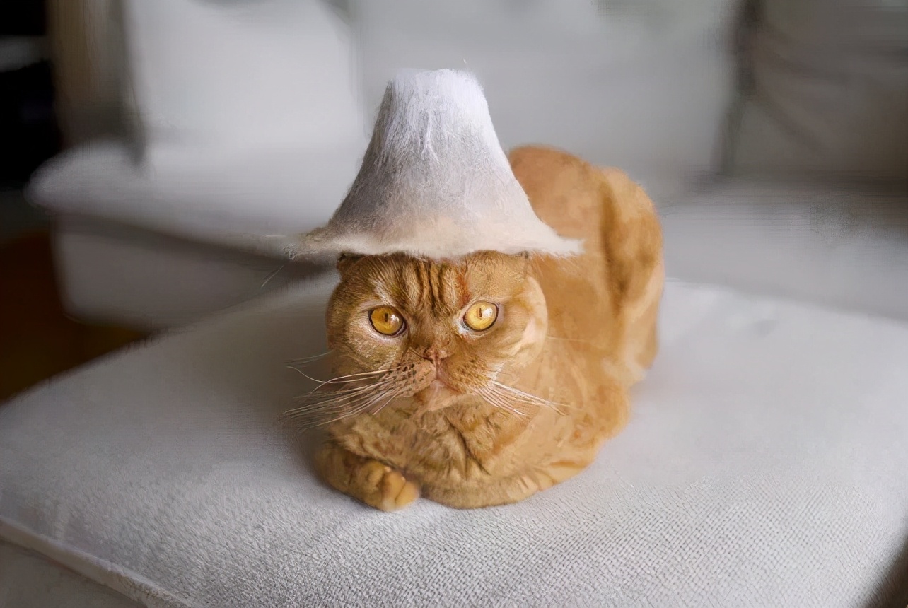 网友晒出5颗巨型毛球，救命！我快要窒息了