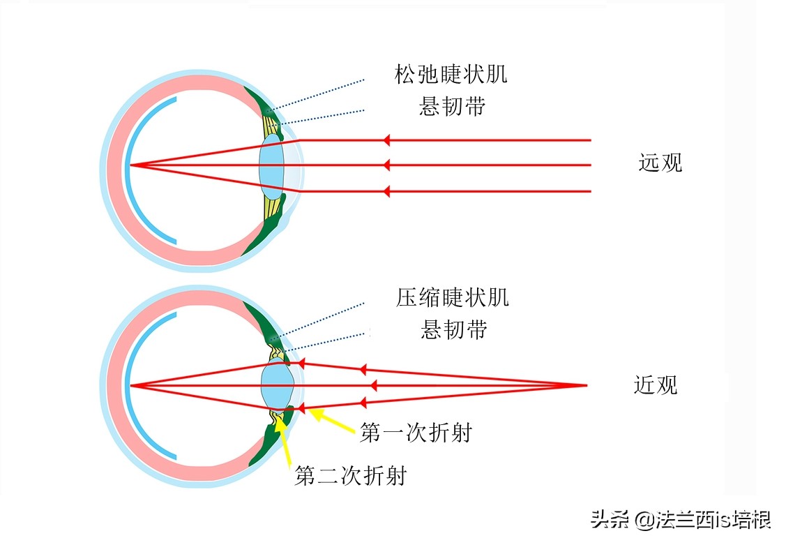 鱼眼看世界高清图片,鱼眼看到的世界是怎么样的