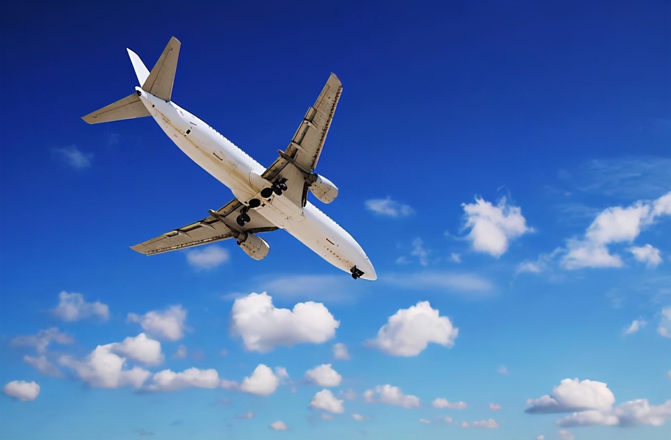 到底是鸟撞飞机还是飞机撞鸟,鸟撞飞机到底有多可怕