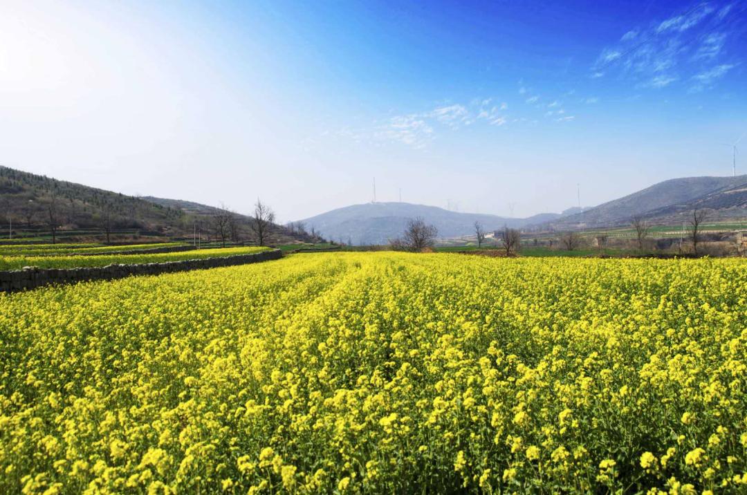 珏山景区旅游攻略,晋城珏山旅游景点大全