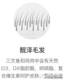 网易严选全价成猫粮测评,网易严选成猫粮和全价猫粮