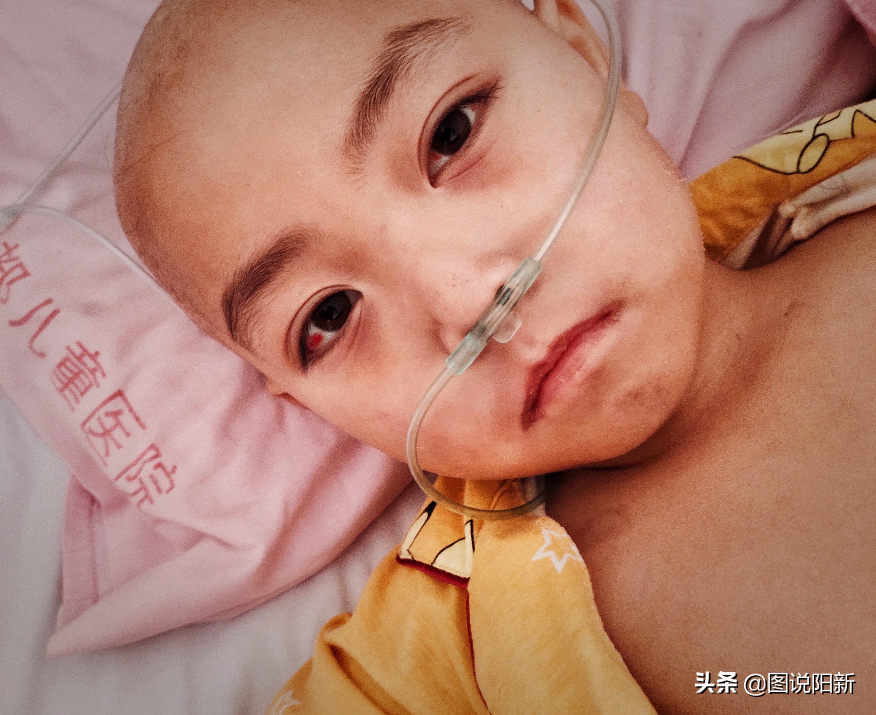 奶奶不舍得给孩子花钱,奶奶不舍得给孙子花钱