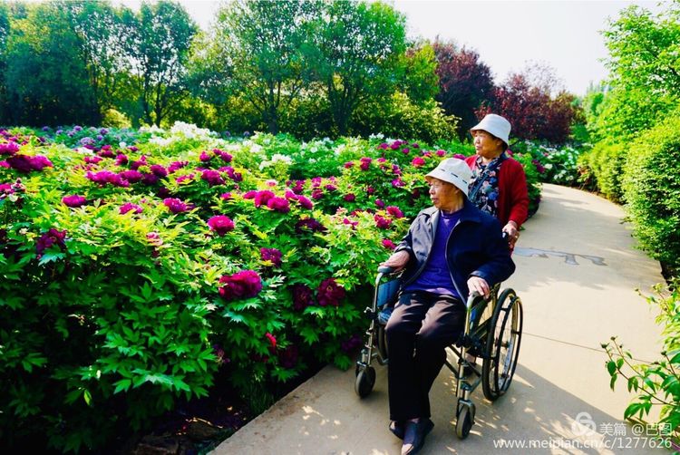 洛阳晚报作品,洛阳晚报2020年