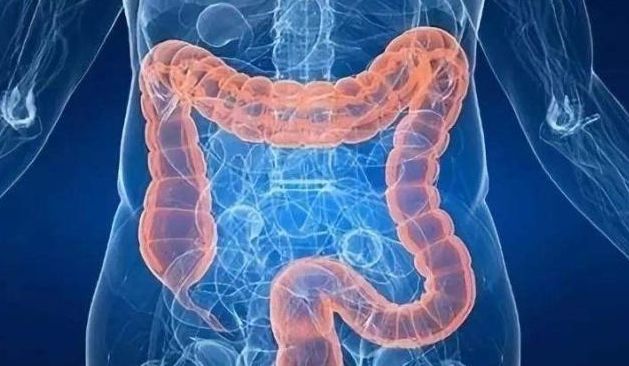 荷叶茶有滋阴的功效吗,荷叶茶怎么喝才有营养