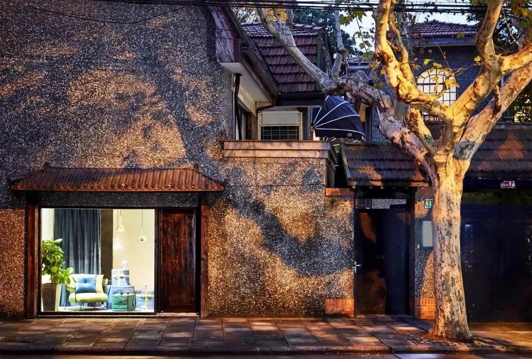 安家大结局有多少集,安家大结局解说