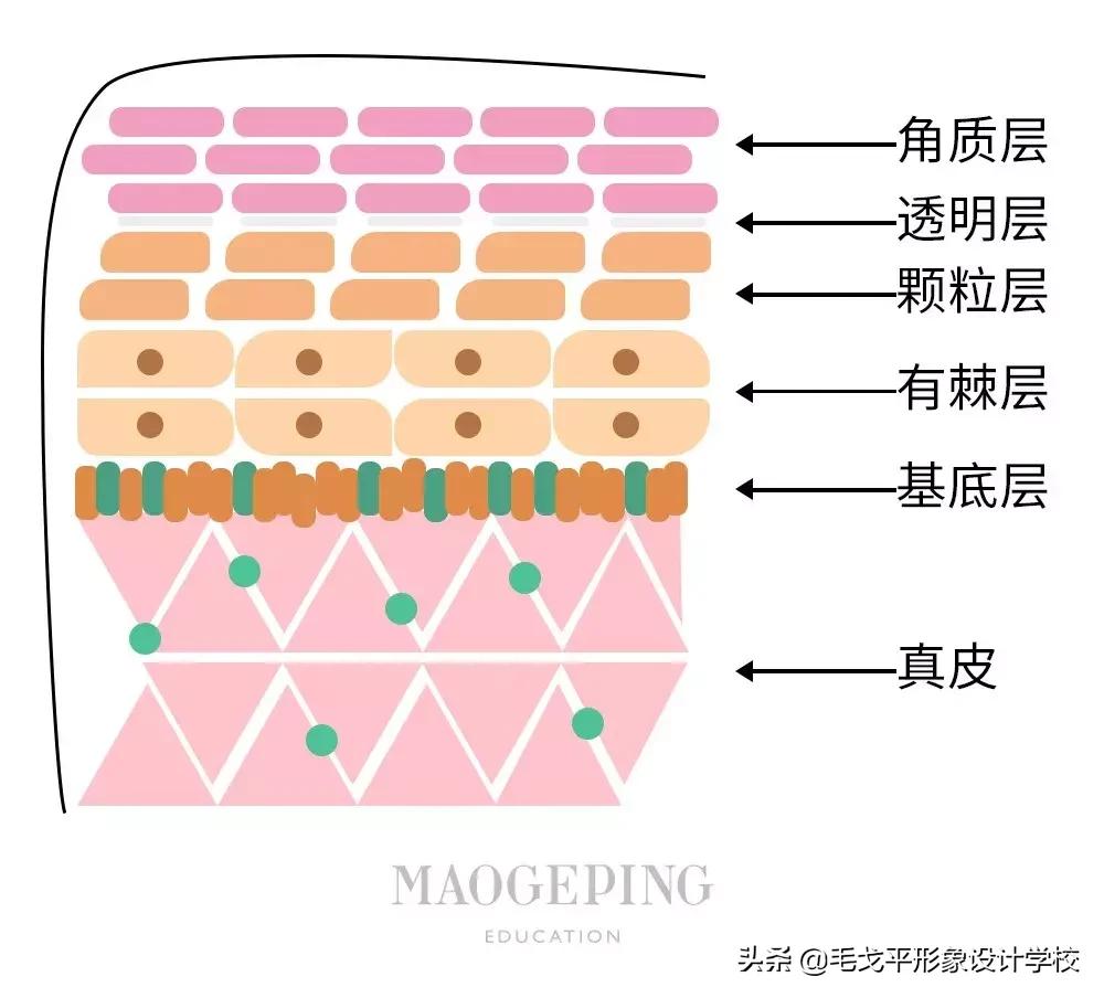 酒精毁脸的症状,酒精损坏皮肤