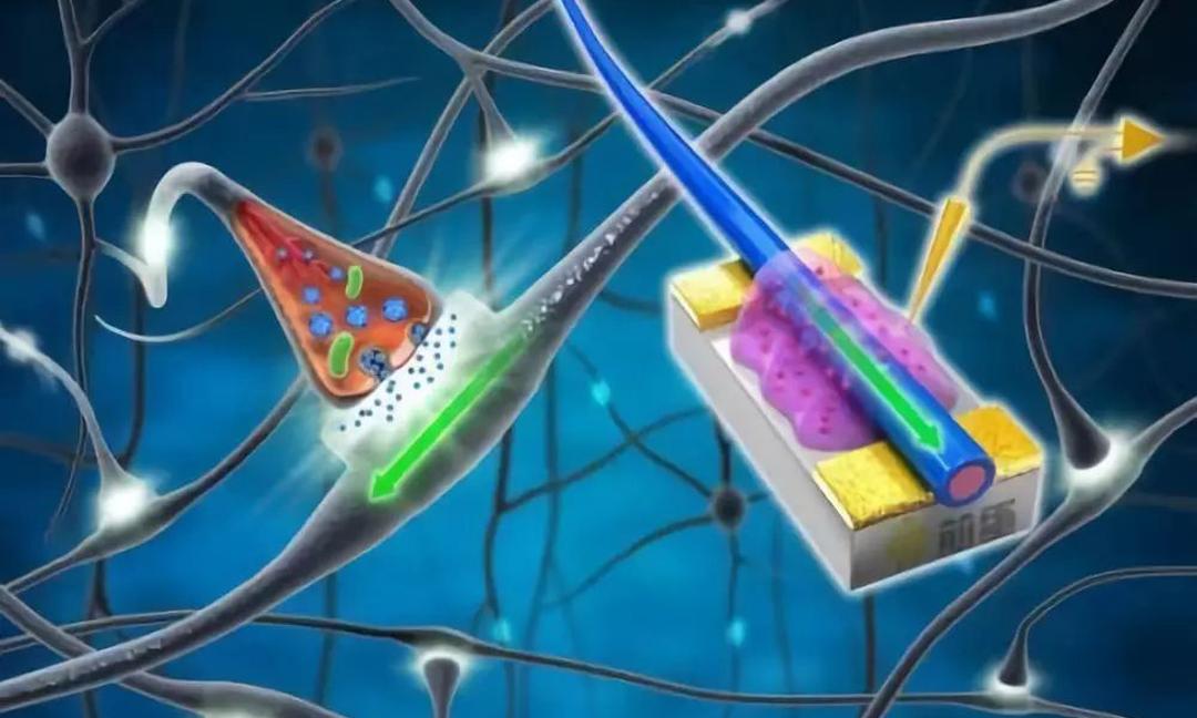 简单电与磁 (电与磁的魔法)