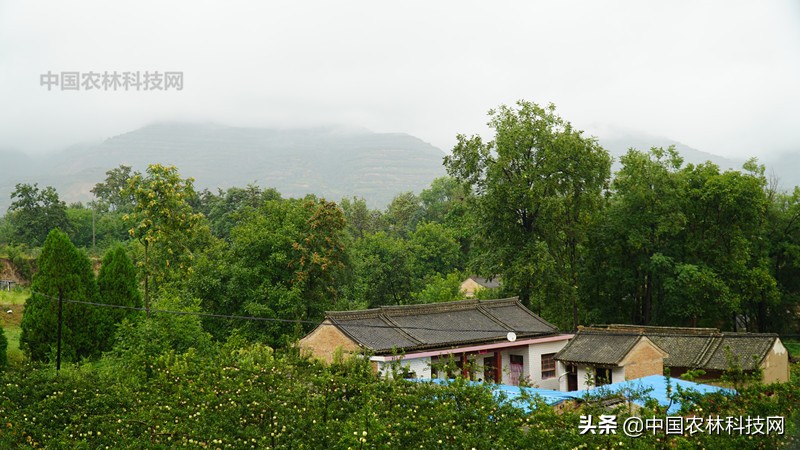 天水到大水川一日游,自驾游到天柱山停哪里最方便