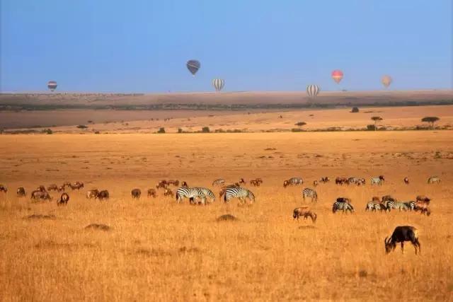 全球10大热气球,全球热气球最美地方