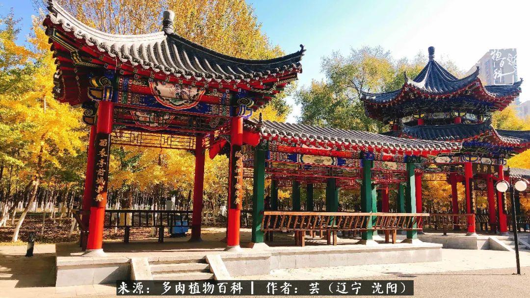 万物皆有灵性有因必有果,万物皆有灵性与生命