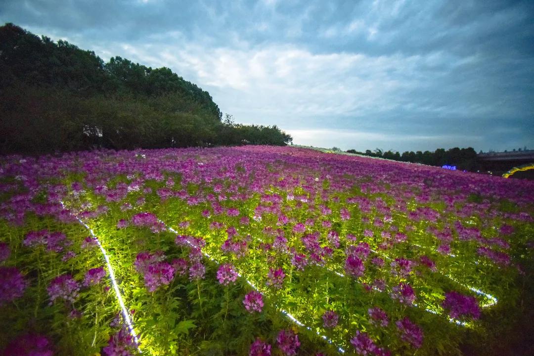 成都三圣乡恐龙主题公园,三圣乡恐龙主题公园地址