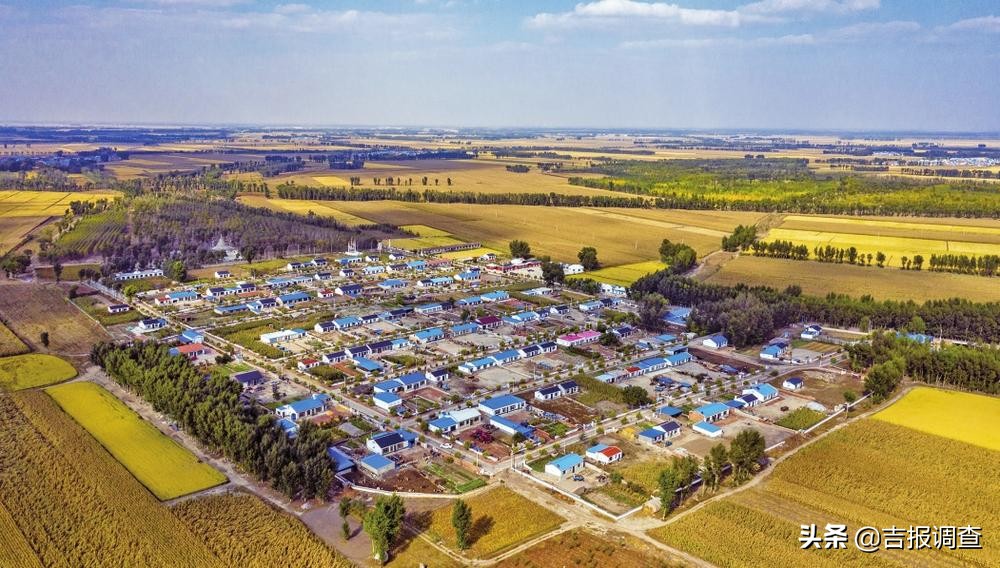 有图有真相的攻略,有图有真相逆战