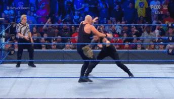 wwesd和raw所有选手,wwesd冠军腰带