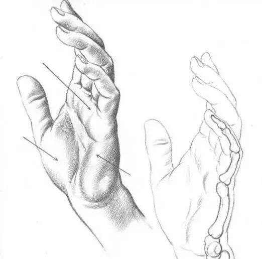 素描临摹初学者入门教程,适合零基础学习的素描入门小教程