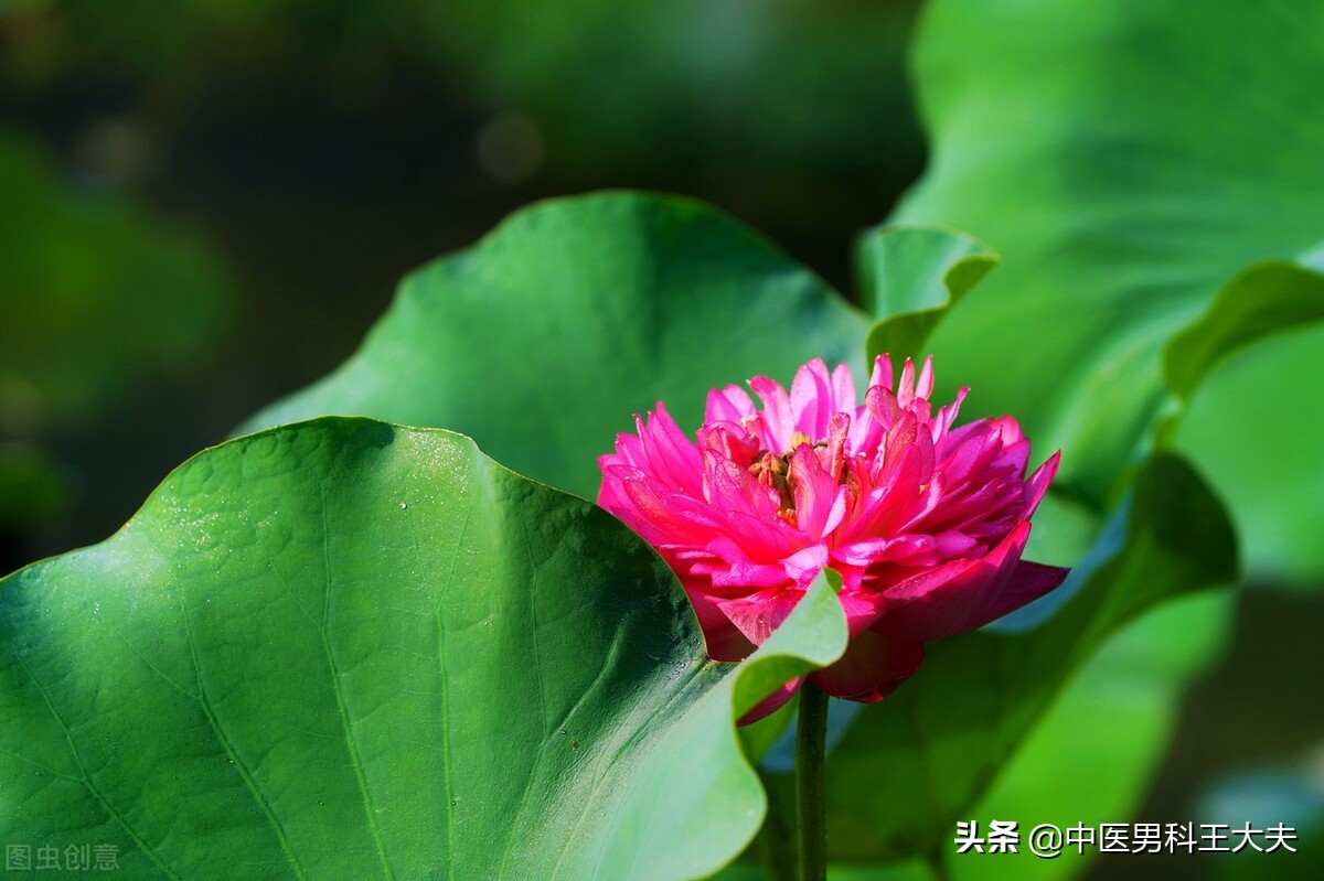 得了ED的人该如何调整好自己的心态，恢复到积极健康的生活状态？