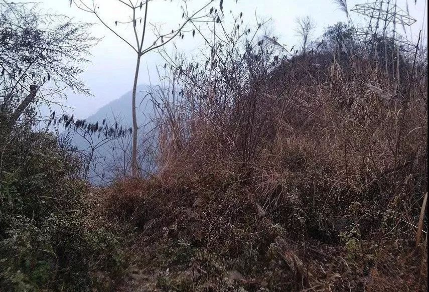 【方志四川•历史文化】明代石泉县的五个关隘