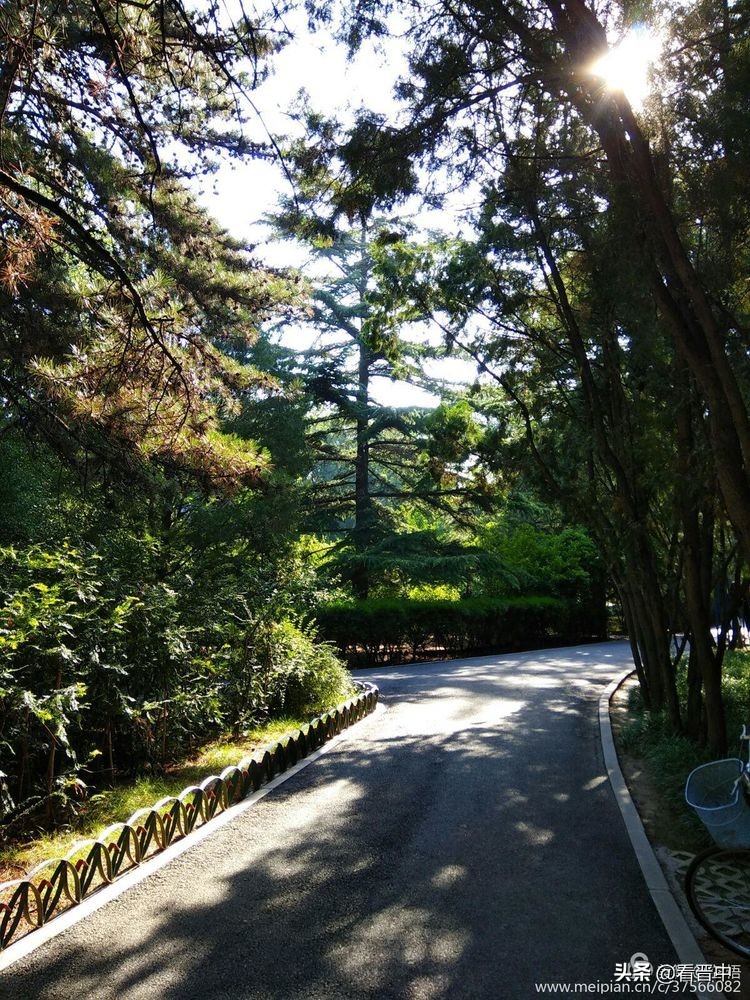 山西农大美丽的校园,山西农大校园风光