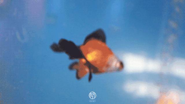 10小时全角度玩转K-lab，这艘知识消费体验巨帆刷新购物视界！