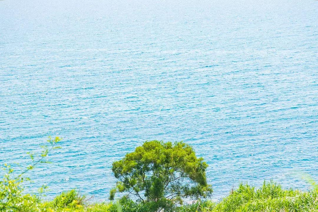 深圳十大一日游景点,深圳十大免费公园景点大全