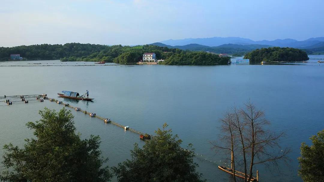 从长沙出发高铁旅游一圈路线推荐,长沙出发2-3天短途旅游高铁